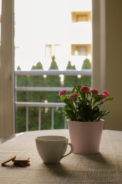 在厨房吃早餐，阅读，全景窗户图片下载