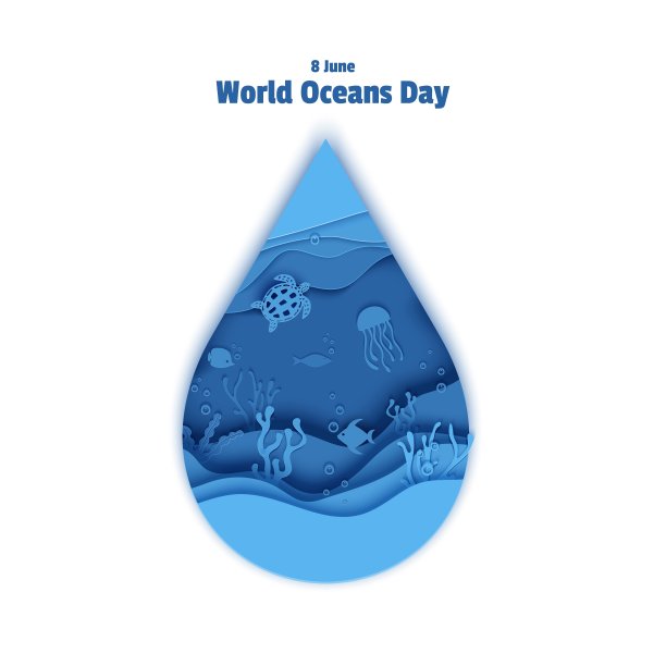 剪纸水滴形成水下深处的海洞，里面有鱼类、珊瑚礁、海底的海藻、浪花。6月8日世界海洋日。潜水概念，深蓝海洋生物。向量海洋野生动物。图片下载