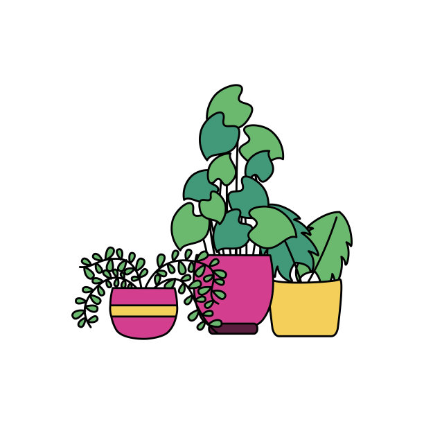 隔离植物内盆栽载体设计图片下载