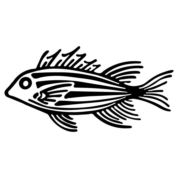 可爱的海鱼孤立在白色的背景。单色线艺术卡通矢量插图。手绘鱼孤立的海洋生命元素。设计用于商店水族馆、海洋馆。图片下载