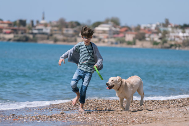 快乐的男孩和她的狗在沙滩上奔跑图片下载