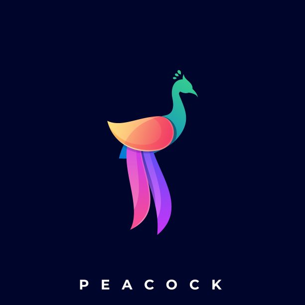 孔雀颜色插图矢量模板图片下载