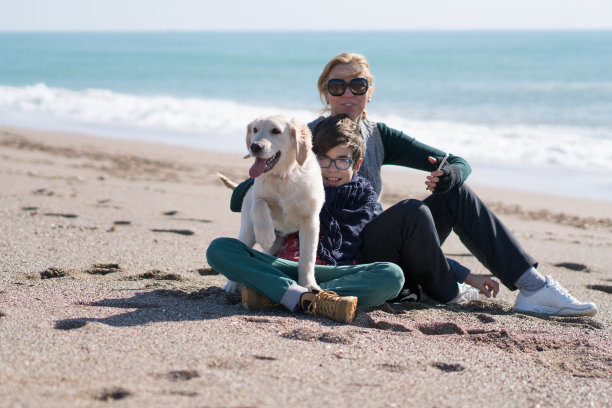 妈妈和儿子和她的狗坐在海滩上图片下载