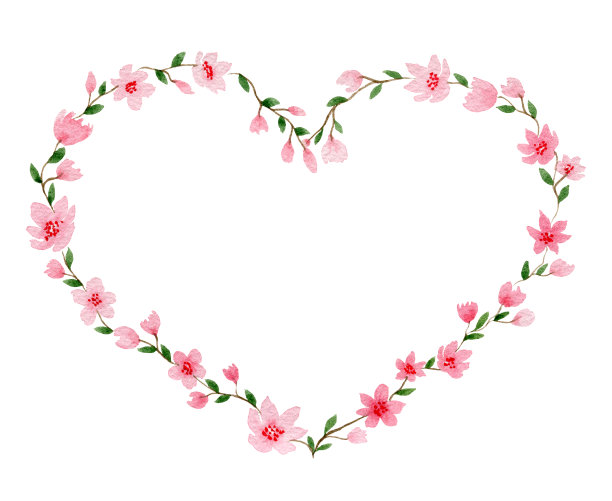 花之心，水彩情人之心，樱花之花，母亲节花冠孤立于白色图片下载