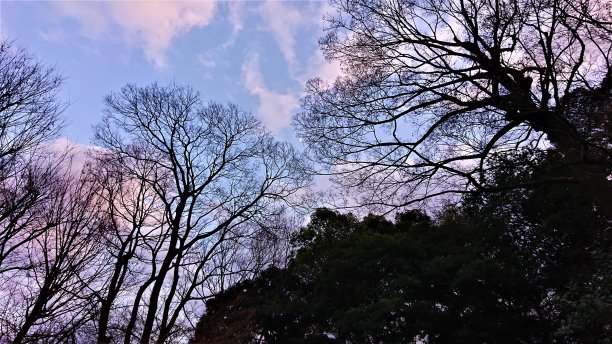 东京上空的新年天空。在日落之前。图片下载