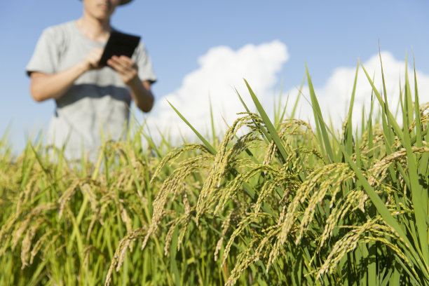 农民和平板电脑图片下载