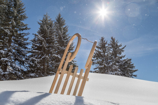 雪橇图片下载