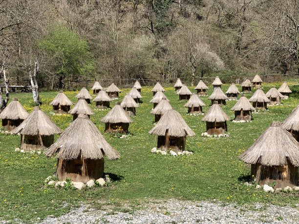 蜜蜂在绿草上筑巢图片下载