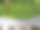 俯视图绿色植物和六角形瓷砖图片下载