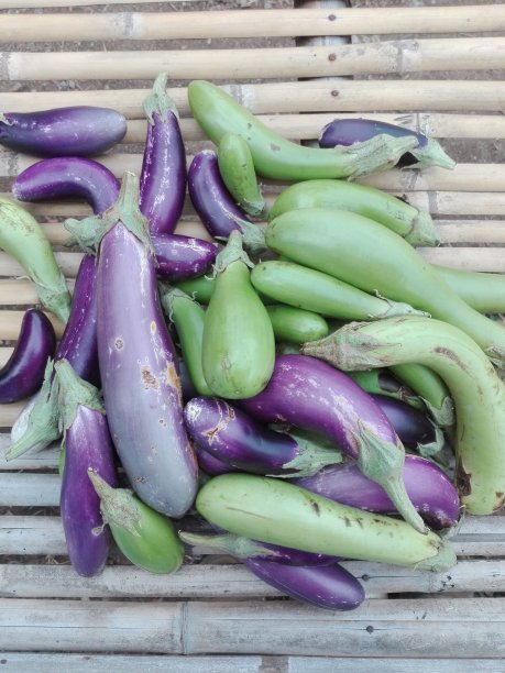 桌上有紫绿的茄子，质地背景图片下载