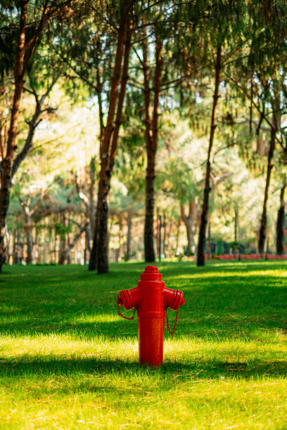 公园的消防栓图片下载