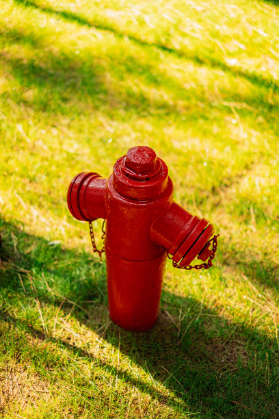 公园的消防栓图片下载