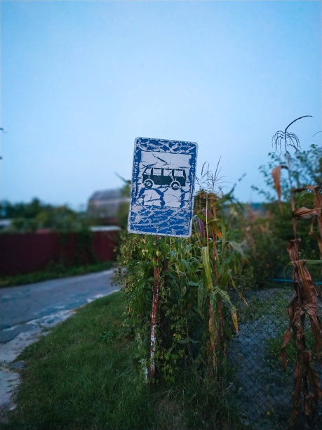 公交车站里的夏日森林图片下载