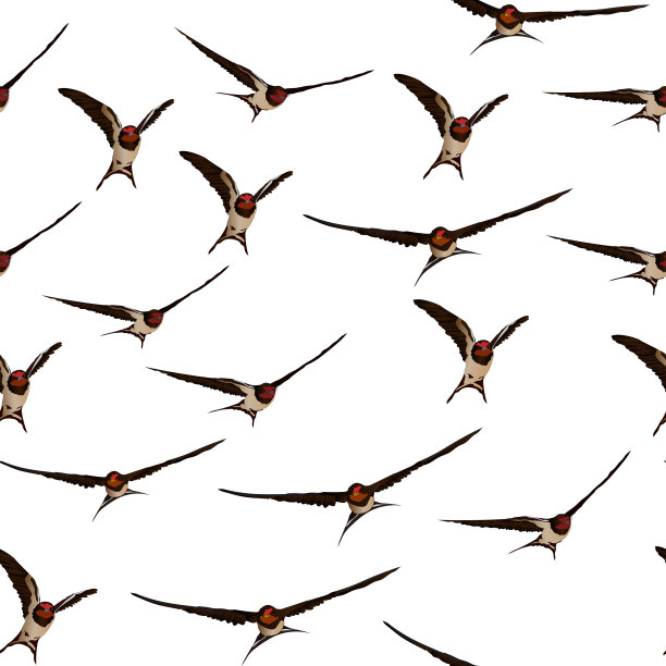飞行的燕子。矢量图像。白色背景。无缝模式。图片下载