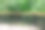 有图案的铁栅栏和木制栏杆，公园里有石头铺就的路面和绿树，无人。图片下载
