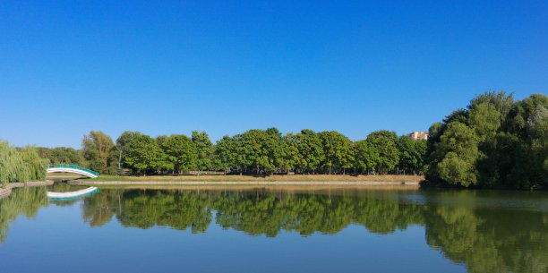 城市公园的夏天图片下载