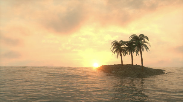 夏天，海边有棕榈树图片下载