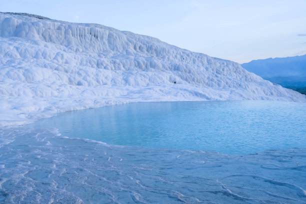 土耳其，印度的白斑鱼。图片下载