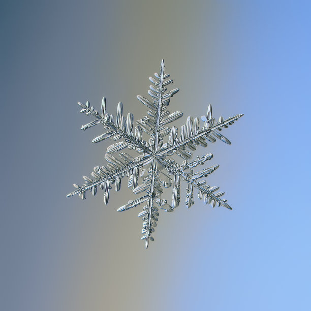 雪花在蓝色的背景上闪闪发光图片下载