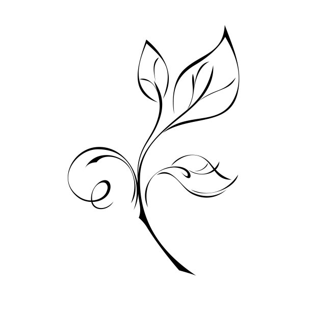 995年装饰图片下载