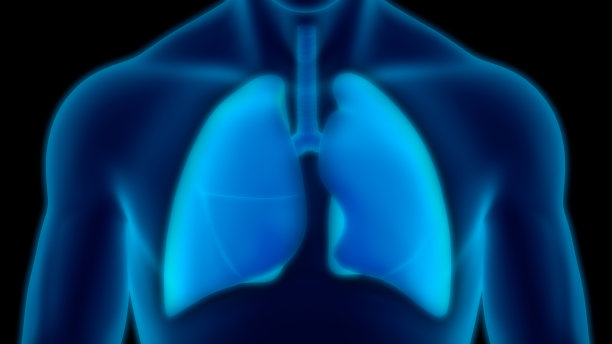 人体呼吸系统及肺解剖学图片下载