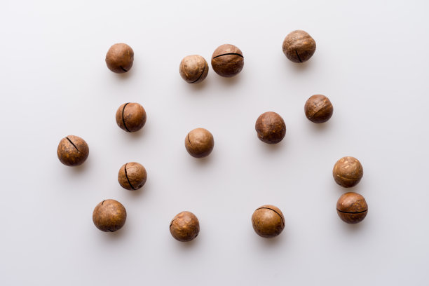 白色背景上闭合的澳洲坚果图片下载