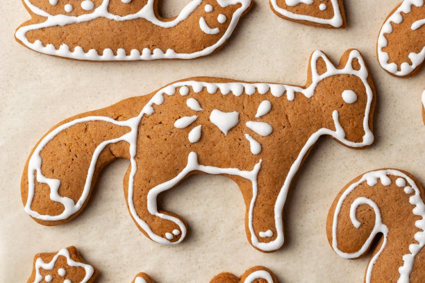 自制圣诞姜饼图片下载