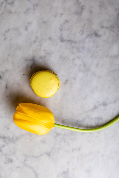 大理石背景上的黄色郁金香和黄色通心粉图片下载