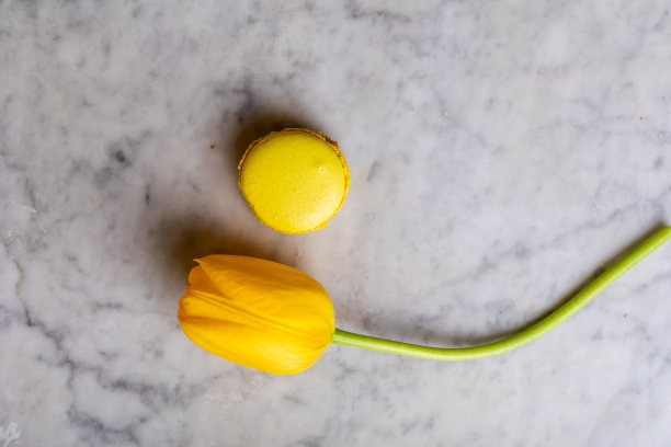 大理石背景上的黄色郁金香和黄色通心粉图片下载
