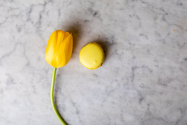 大理石背景上的黄色郁金香和黄色通心粉图片下载