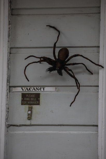 有趣的黑蜘蛛万圣节装饰挂在一个空缺的标志上的酒店图片下载