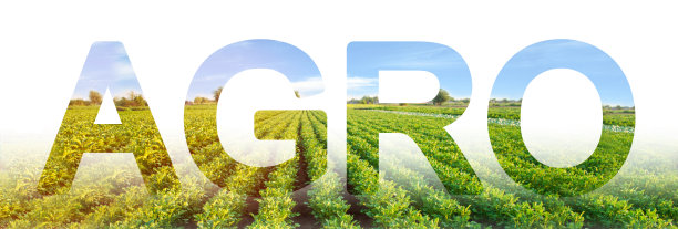 题字Agro背景为马铃薯种植园。农用工业。提高生产力和降低成本的集成解决方案。设备和肥料。美丽的风景。图片下载