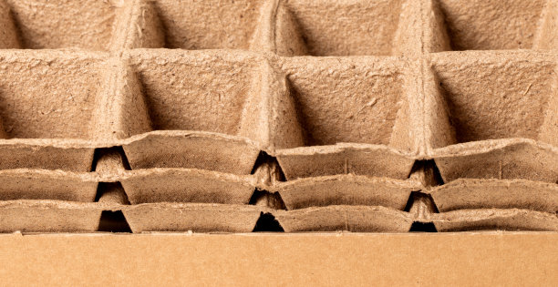 近距离种植的泥炭盆图片下载