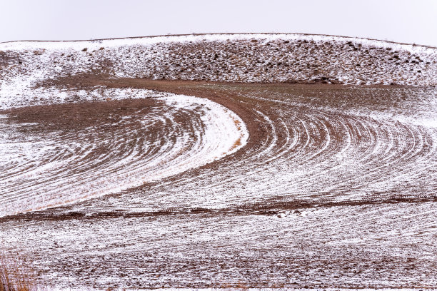 雪在草地，冬天的风景图片下载
