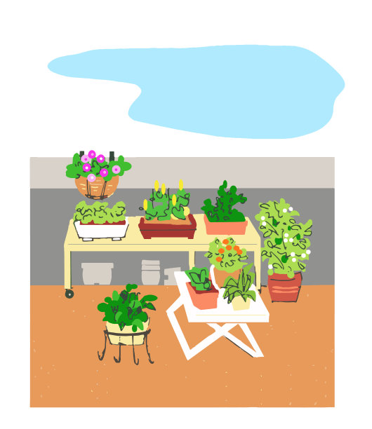 阳台角落有花和绿色盆栽植物图片下载