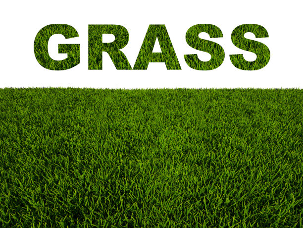 草地3D渲染在一个白色的背景孤立图片下载
