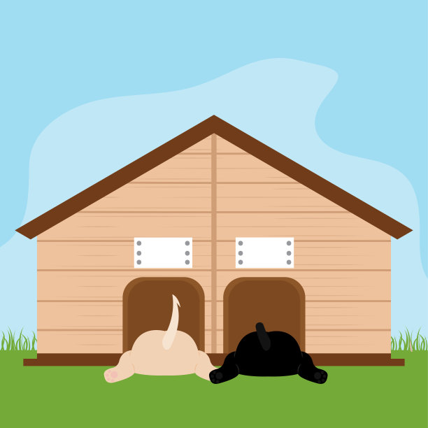 宠物屋里的狗图片下载