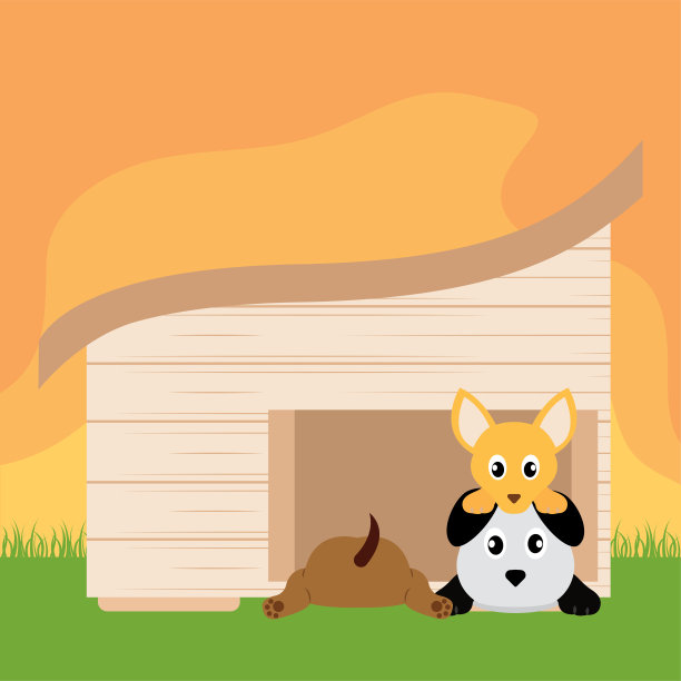 宠物屋里的狗图片下载