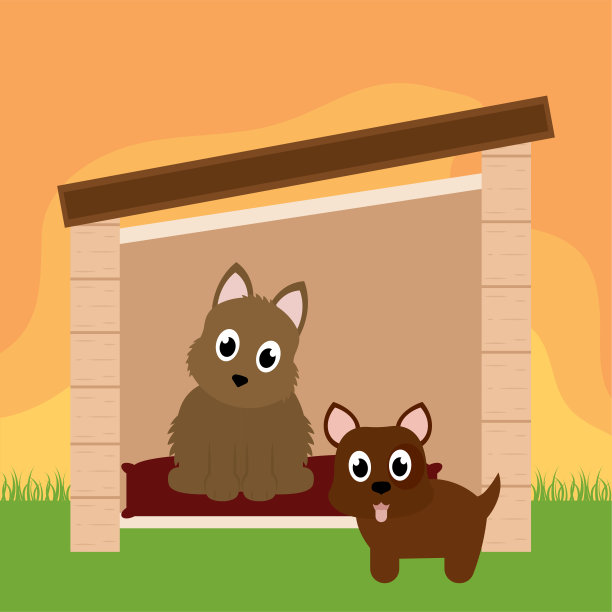 宠物屋里的狗图片下载