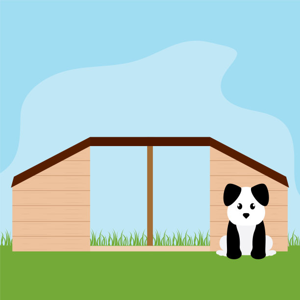 宠物屋里的狗图片下载