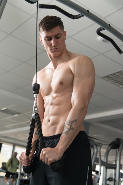 健美运动员锻炼肱三头肌图片下载