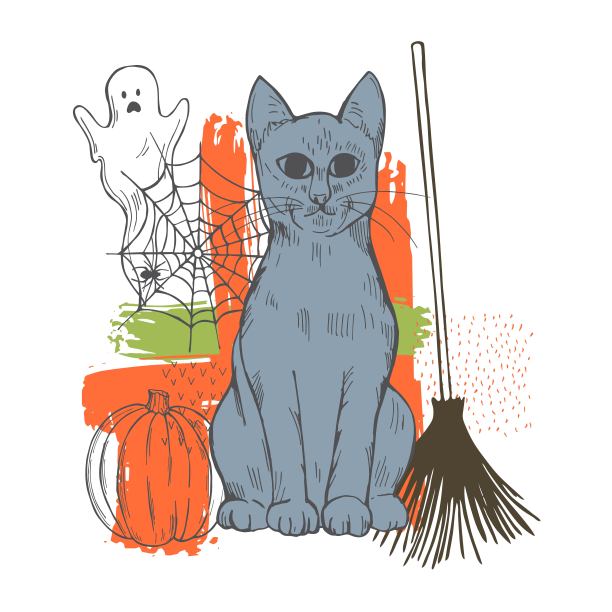 万圣节的猫。向量速写插图。图片下载