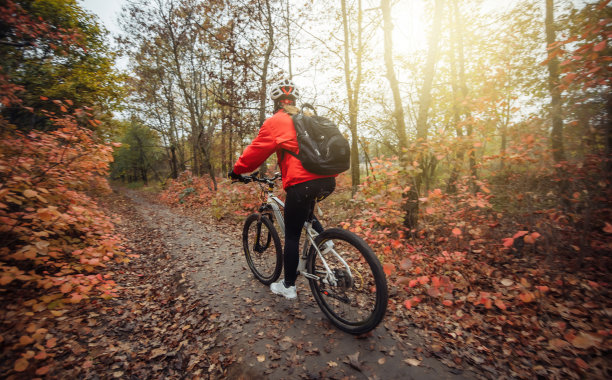 一个不认识的骑自行车的妇女在运动骑沿着森林小径与红色的树叶的树木。图片下载
