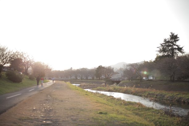 沿着河岸的路图片下载
