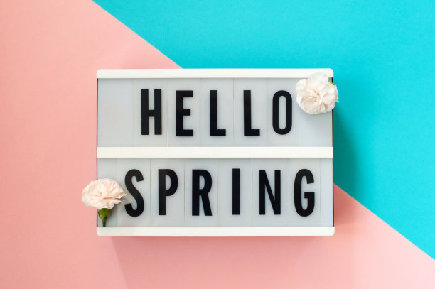 你好春天-文本显示灯箱与康乃馨在蓝色和粉红色的背景。图片下载