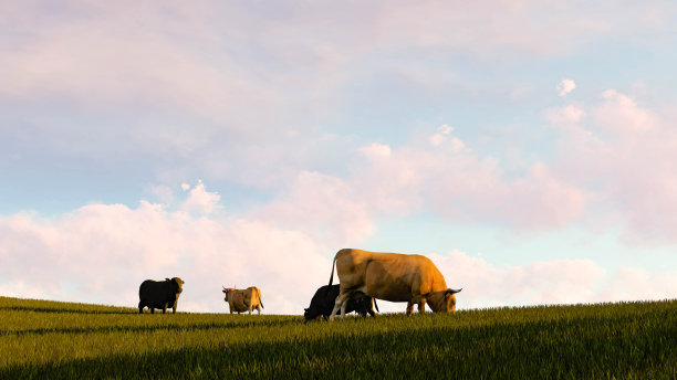 牛户外草3D渲染图片下载