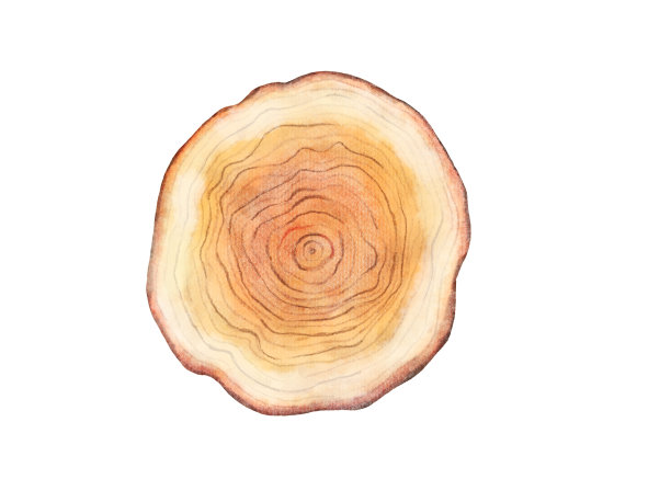 水彩木板图片下载