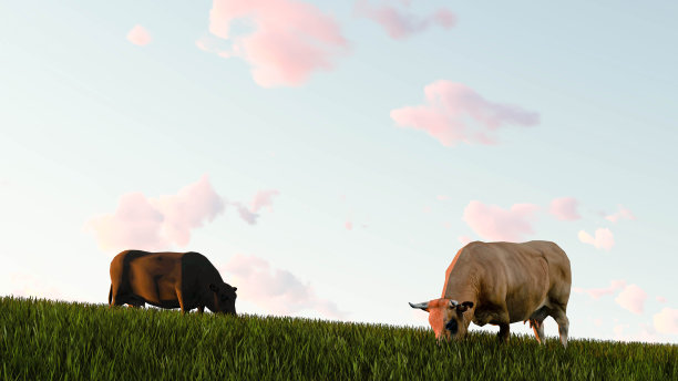 牛户外草3D渲染图片下载