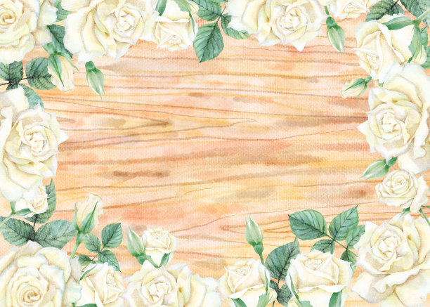 白玫瑰水彩在空白木板上图片下载