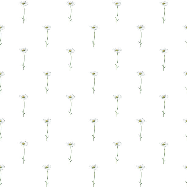 无缝图案-花水彩素描洋甘菊，牛至和其他野花图片下载